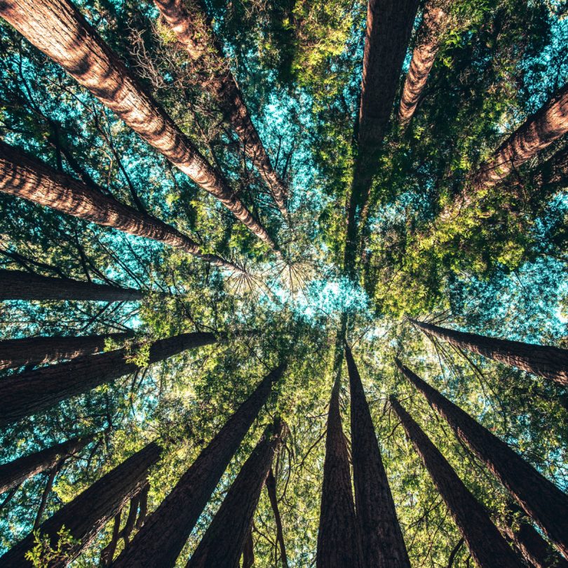 Stellungnahme zum Referentenentwurf des BMAS zur Änderung des LkSG – Das Lieferkettenegsetz darf nicht abgeschwächt werden!